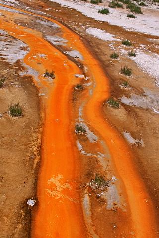 092 yellowstone, geyser hill.JPG